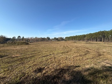 (private lake, pond, coastal) Acreage For Sale in Louisville Mississippi