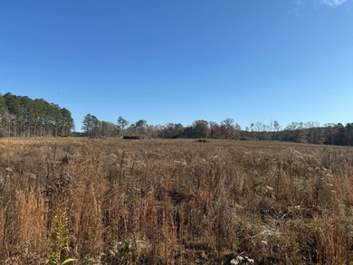 Positioned just 2.6+/- miles southeast of Louisville, this 19 - photo 2