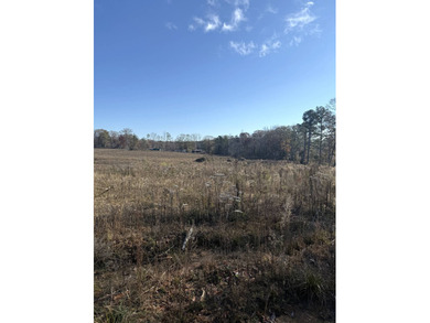 Positioned just 2.6+/- miles southeast of Louisville, this 19 - photo 3