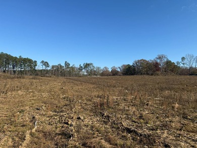 Positioned just 2.6+/- miles southeast of Louisville, this 19 - photo 5