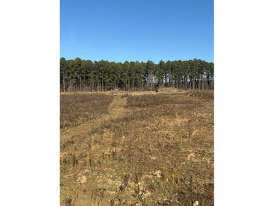Positioned just 2.6+/- miles southeast of Louisville, this 19 - photo 7