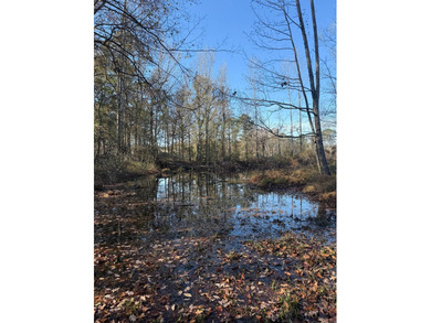 Positioned just 2.6+/- miles southeast of Louisville, this 19 - photo 9