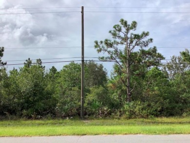Lake Lot For Sale in Orlando, Florida