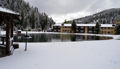 Lake Condo For Sale in Red River, New Mexico