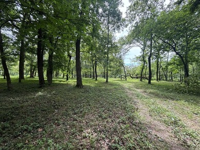 20 Acres at Shoal Creek and Spring River confluence! - photo 2
