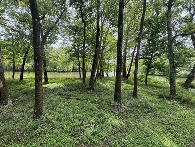 20 Acres at Shoal Creek and Spring River confluence! - photo 3