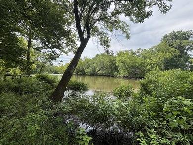 20 Acres at Shoal Creek and Spring River confluence! - photo 4