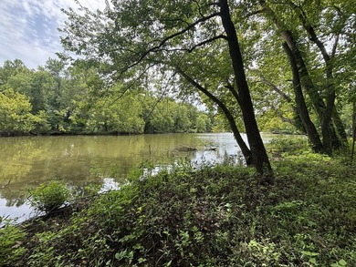 20 Acres at Shoal Creek and Spring River confluence! - photo 5