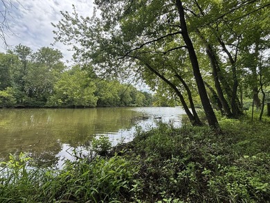 20 Acres at Shoal Creek and Spring River confluence! - photo 6
