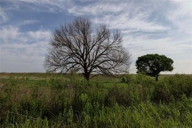 Experience the beauty and functionality of this 39.93-acre - photo 6