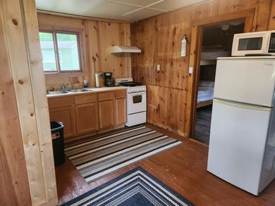 Charming and cozy cabin on the shores of Third Lake of THe Moen - photo 7