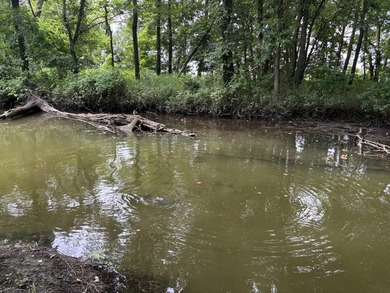 20 Acres at Shoal Creek and Spring River confluence! - photo 7