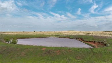 Experience the beauty and functionality of this 39.93-acre - photo 7