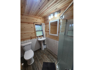Charming and cozy cabin on the shores of Third Lake of THe Moen - photo 8