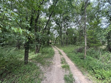20 Acres at Shoal Creek and Spring River confluence! - photo 8