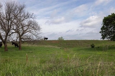 Experience the beauty and functionality of this 39.93-acre - photo 9