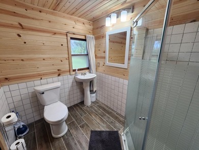 Charming and cozy cabin on the shores of Third Lake of THe Moen - photo 10
