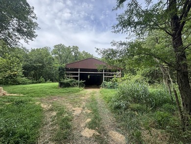 20 Acres at Shoal Creek and Spring River confluence! - photo 10
