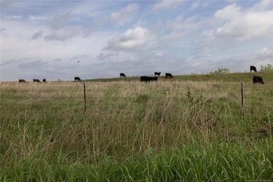 Experience the beauty and functionality of this 39.93-acre - photo 10