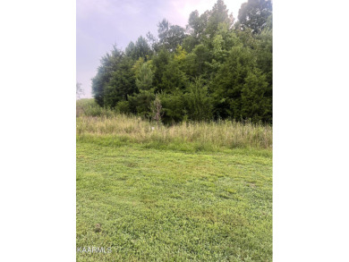 Tennessee River - Loudon County Lot For Sale in Loudon Tennessee