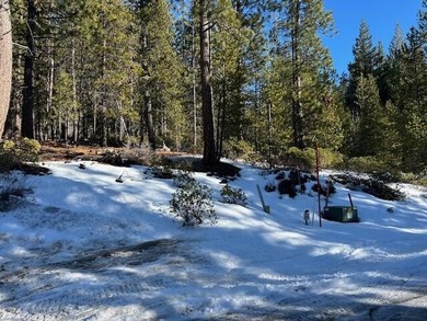 Crescent Lake - Klamath County Lot For Sale in Crescent Lake Oregon