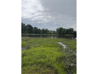 Taton Lake Acreage For Sale in Cabot Arkansas