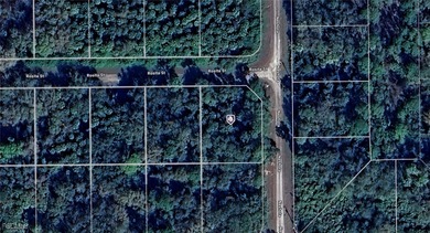 Lehigh Acres Area Lot For Sale in Lehigh Acres Florida