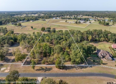 Lake Acreage For Sale in Lindale, Texas