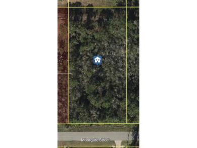 Lake Lot For Sale in Orlando, Florida