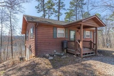 Deer Run Lake- Van Buren County Home For Sale in Van Buren Missouri