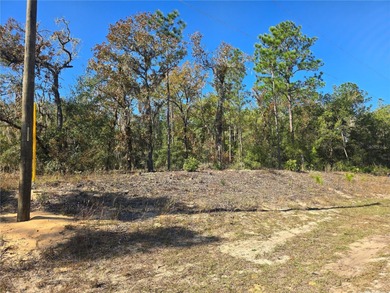 Withlacoochee River Lot For Sale in Dunnellon Florida