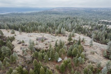 (private lake, pond, creek) Acreage For Sale in Nine Mile Falls Washington