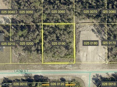 Lehigh Acres Area Lot For Sale in Lehigh Acres Florida