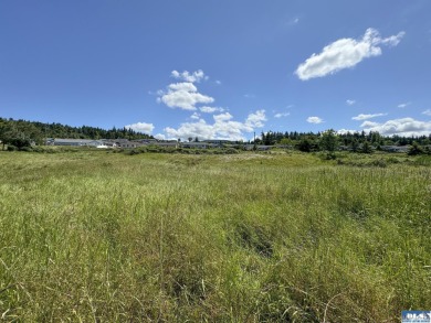 Seize this exceptional development opportunity with breathtaking - photo 11