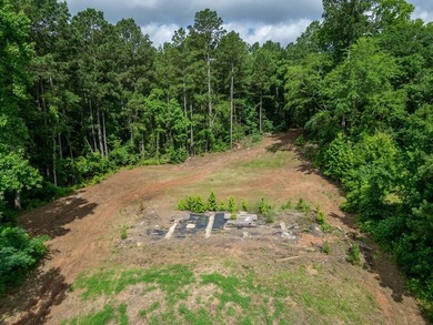 Rare opportunity to own approximately 3 acres of waterfront - photo 13