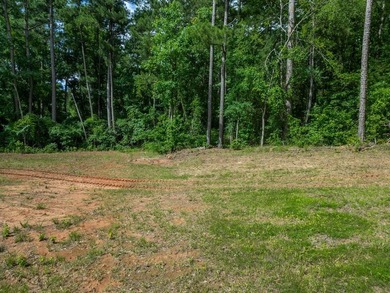 Rare opportunity to own approximately 3 acres of waterfront - photo 23