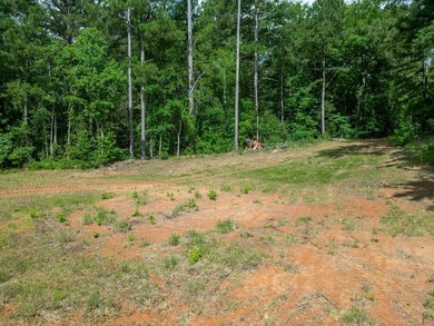 Rare opportunity to own approximately 3 acres of waterfront - photo 24