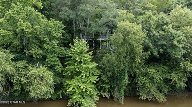 Rare opportunity! Over 20 acres on the Tombigbee River in the - photo 28