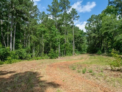 Rare opportunity to own approximately 3 acres of waterfront - photo 30