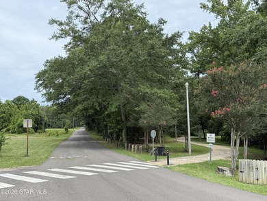 Rare opportunity! Over 20 acres on the Tombigbee River in the - photo 31