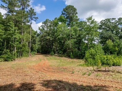 Rare opportunity to own approximately 3 acres of waterfront - photo 31