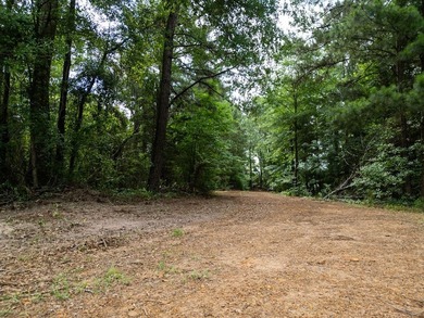 Rare opportunity to own approximately 3 acres of waterfront - photo 32