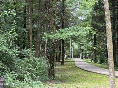 Rare opportunity! Over 20 acres on the Tombigbee River in the - photo 34