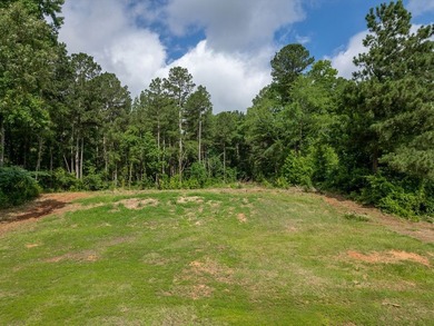 Rare opportunity to own approximately 3 acres of waterfront - photo 34
