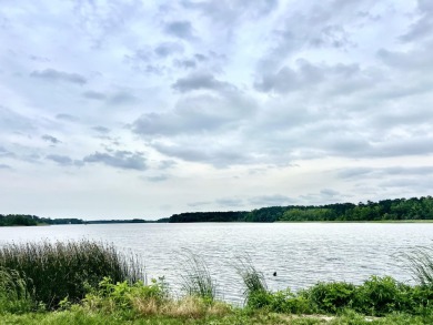Lake Lot For Sale in Summerton, South Carolina