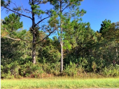 Lake Lot For Sale in Orlando, Florida