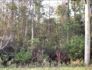 Lake Lot For Sale in Orlando, Florida