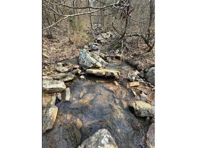 (private lake, pond, creek) Acreage For Sale in Waldron Arkansas
