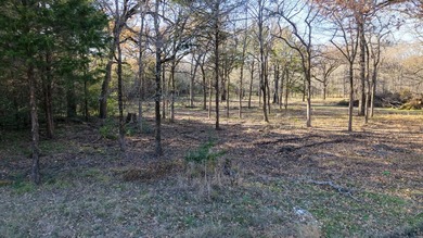 Build-to-suit opportunity on this beautifully wooded 1.49-acre - photo 11