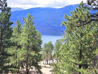 Twin Lakes Reservoir Lot For Sale in Twin Lakes Colorado